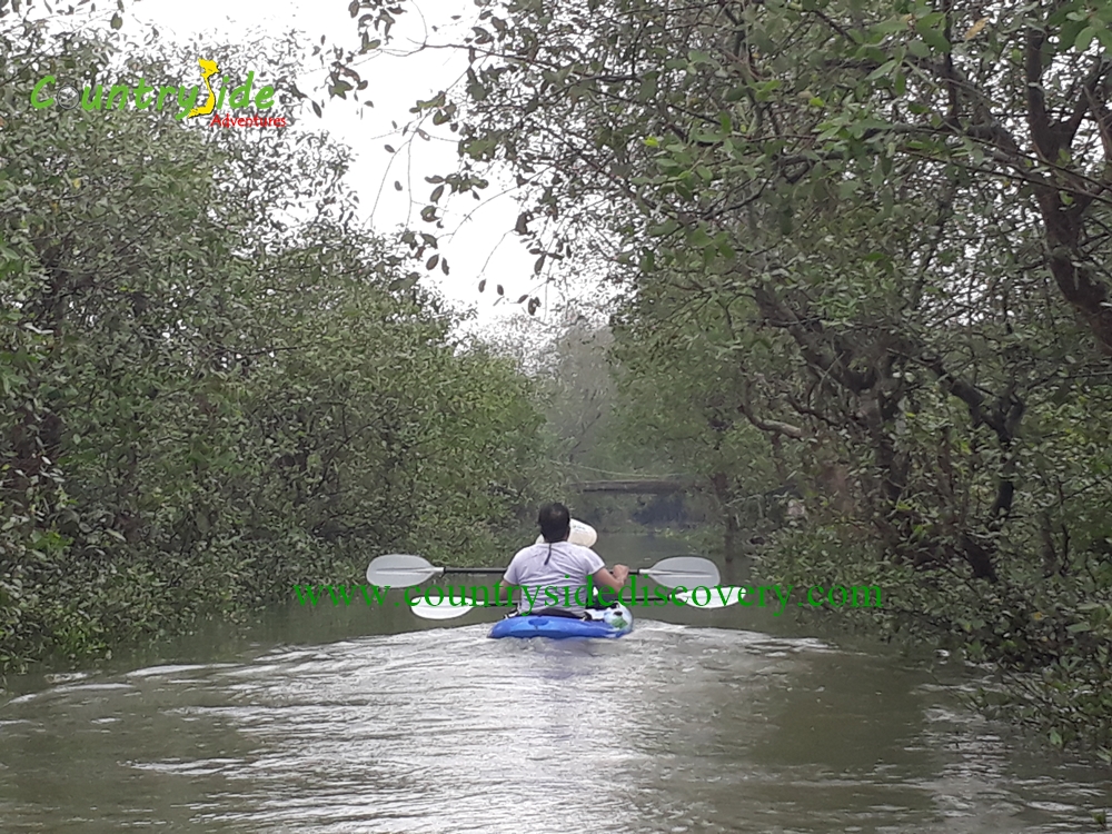 MEKONG KAYAKING & BOATING -HOMESTAY -02 DAYS MEKONG KAYAKING & BOATING -HOMESTAY -02 DAYS