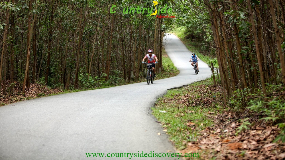 EXPERIENCE ANGKOK BY BIKES -TWO DAYS