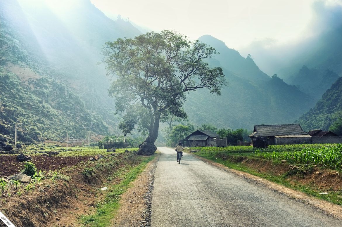 Cycling tours in Vietnam