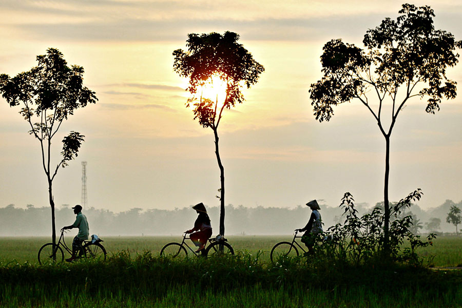 mekong-bike-tours-vietnam