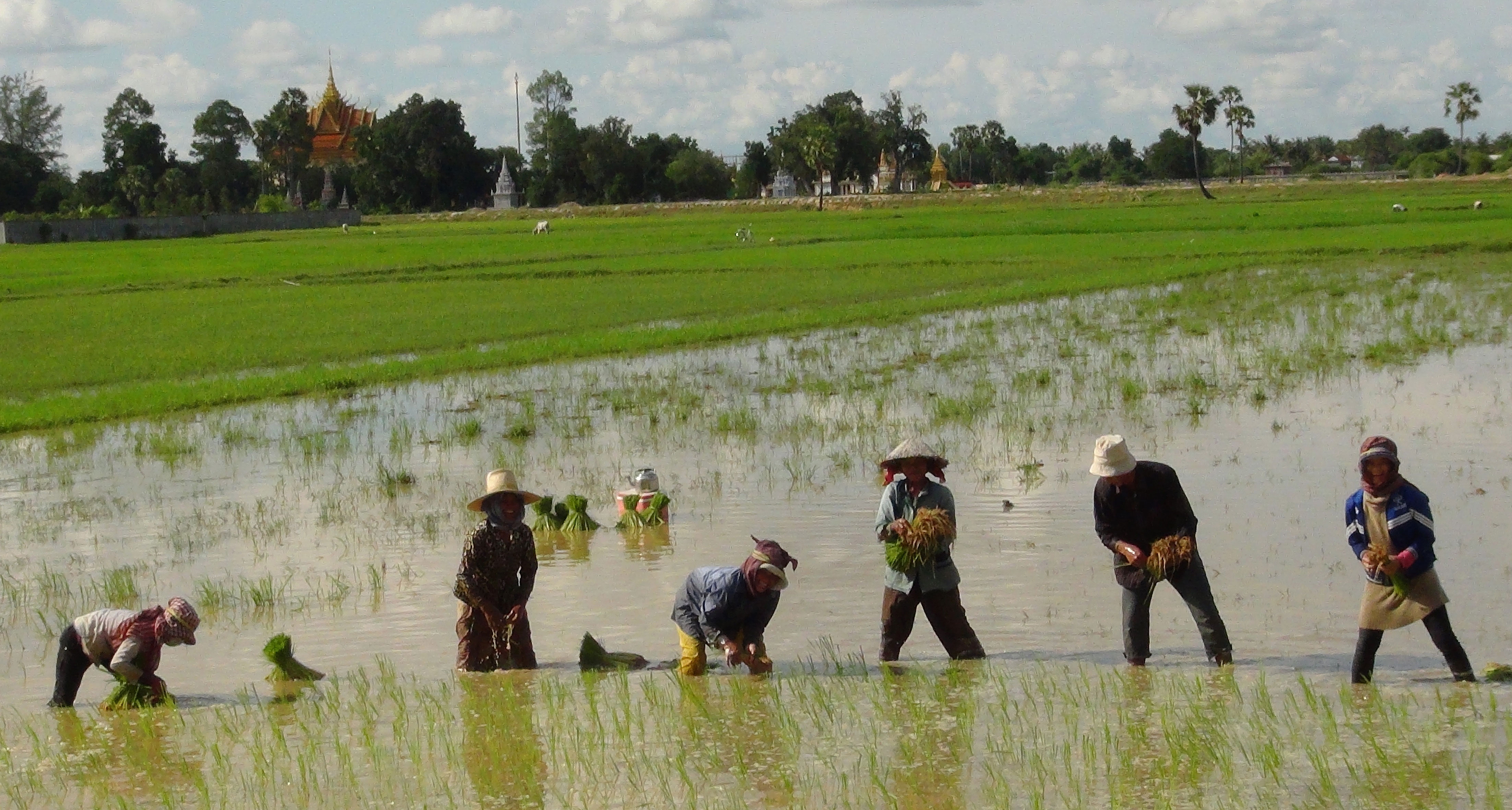 Cambodia Homestay & Trekking Activities in 08 Days