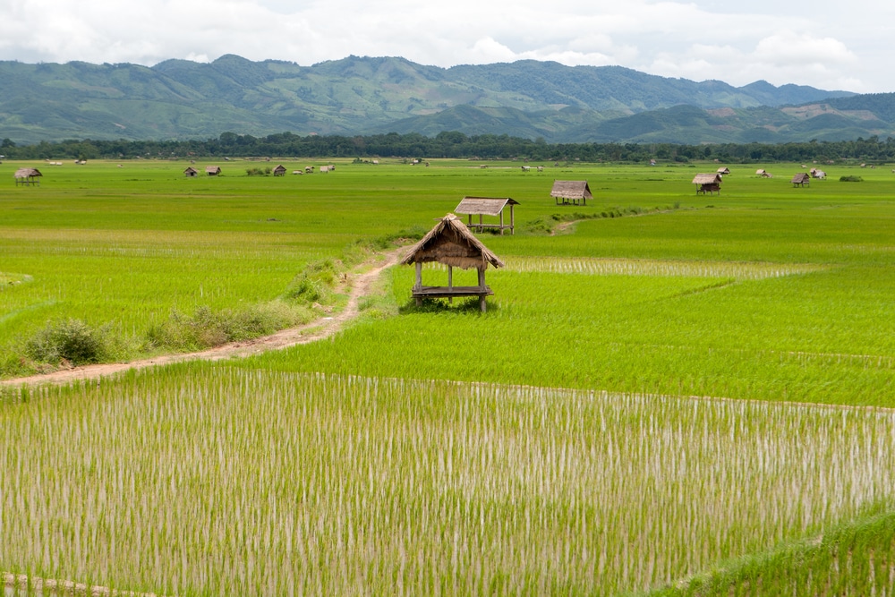 Laos Trekking & Kayaking Activities